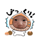 うちの長男1（個別スタンプ：13）