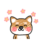 落書き風 柴犬ちゃん（個別スタンプ：10）