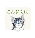 かわいい子猫の、日常ごあいさつ【修正版】（個別スタンプ：2）