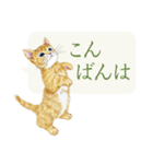 かわいい子猫の、日常ごあいさつ【修正版】（個別スタンプ：3）