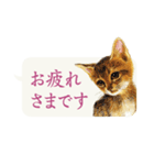かわいい子猫の、日常ごあいさつ【修正版】（個別スタンプ：8）