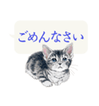 かわいい子猫の、日常ごあいさつ【修正版】（個別スタンプ：10）