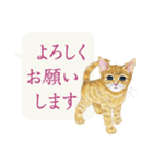 かわいい子猫の、日常ごあいさつ【修正版】（個別スタンプ：11）
