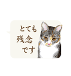 かわいい子猫の、日常ごあいさつ【修正版】（個別スタンプ：15）