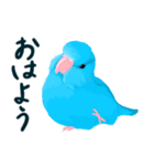 青いインコの便利スタンプ   (修正版)（個別スタンプ：5）