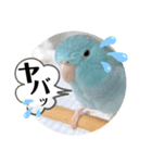 マメルリハのリル13（個別スタンプ：3）