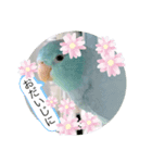 マメルリハのリル13（個別スタンプ：5）