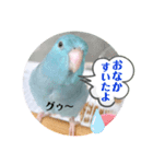マメルリハのリル13（個別スタンプ：7）