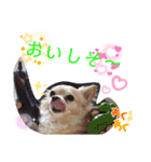 ナナちゃんスタンプ【よく使うワン④】（個別スタンプ：5）