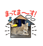 そらくんフォーエバースタンプ（個別スタンプ：28）