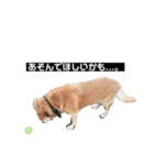 うちのるーとはりー（個別スタンプ：5）