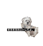 うちのるーとはりー（個別スタンプ：6）