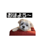 うちのるーとはりー（個別スタンプ：7）