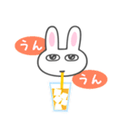 Bunny Blueberry スタンプ 毎日（個別スタンプ：19）