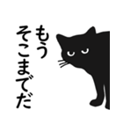 ちょっと口の悪い黒猫スタンプ（個別スタンプ：34）