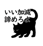 ちょっと口の悪い黒猫スタンプ（個別スタンプ：38）