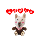 Drまぅちゃんのご挨拶（個別スタンプ：4）