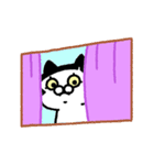 なぁどねこ2/日常（個別スタンプ：22）