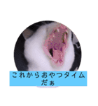 ねこーすの日常➕まねきねこ雨汐ちゃん（個別スタンプ：7）