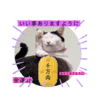ねこーすの日常➕まねきねこ雨汐ちゃん（個別スタンプ：40）