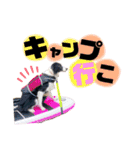 ボーダーコリー『ベル』（個別スタンプ：5）