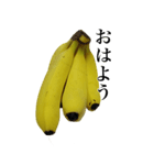 バナナの写真スタンプ【BIC】（個別スタンプ：2）