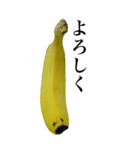 バナナの写真スタンプ【BIC】（個別スタンプ：6）