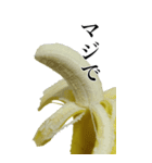 バナナの写真スタンプ【BIC】（個別スタンプ：21）