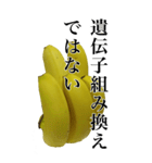 バナナの写真スタンプ【BIC】（個別スタンプ：23）