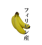 バナナの写真スタンプ【BIC】（個別スタンプ：24）