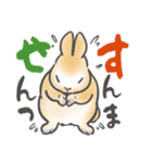 兎・うさぎ・ウサギさん1 関西弁(大阪府)（個別スタンプ：8）
