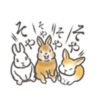 兎・うさぎ・ウサギさん1 関西弁(大阪府)（個別スタンプ：20）