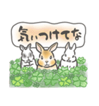 兎・うさぎ・ウサギさん1 関西弁(大阪府)（個別スタンプ：24）