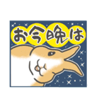 兎・うさぎ・ウサギさん1 関西弁(大阪府)（個別スタンプ：30）