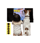 ひなた ときどき ラスク❤︎（個別スタンプ：16）