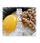 納豆たまごかけご飯☆NTKG（個別スタンプ：8）