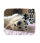 レフラースタンプ4（個別スタンプ：32）