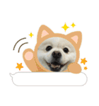 レフラースタンプ4（個別スタンプ：34）