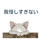 【とびだす】仔猫のぽんにゃん【食欲の秋】（個別スタンプ：20）