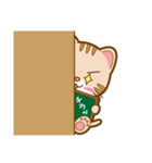 メッセージボードにゃんこ（個別スタンプ：39）