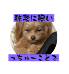 あくびとつくね。たまにししゃも（個別スタンプ：2）