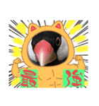 あくびとつくね。たまにししゃも（個別スタンプ：5）
