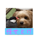 あくびとつくね。たまにししゃも（個別スタンプ：8）
