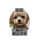 あくびとつくね。たまにししゃも（個別スタンプ：18）