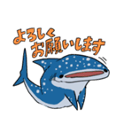 敬語で！ゆるい理系なサメさん 5個目（個別スタンプ：2）