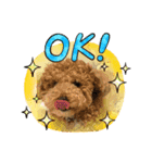 楽しい仲間だにゃん（個別スタンプ：3）