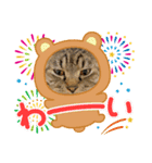 楽しい仲間だにゃん（個別スタンプ：6）