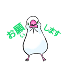 めんこい文鳥 岩手弁（マイルド）（個別スタンプ：5）