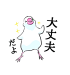 めんこい文鳥 岩手弁（マイルド）（個別スタンプ：8）