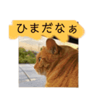 River side〰️（個別スタンプ：4）